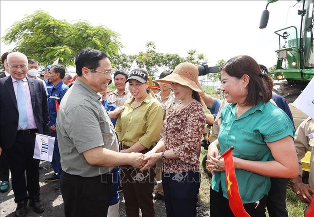  Thủ tướng thăm vùng sản xuất nông nghiệp công nghệ cao tại Nghệ An  - Ảnh 1.