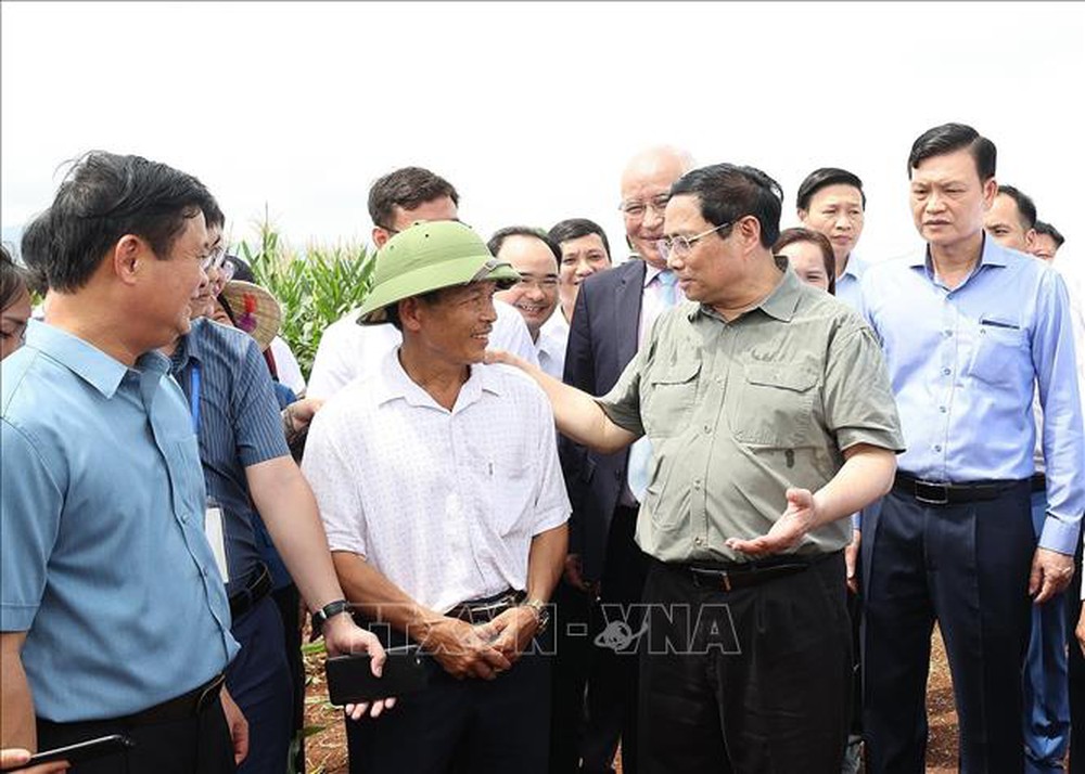  Thủ tướng thăm vùng sản xuất nông nghiệp công nghệ cao tại Nghệ An  - Ảnh 3.