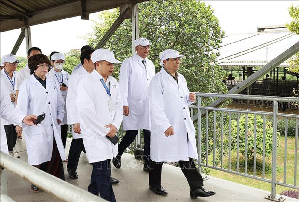  Thủ tướng thăm vùng sản xuất nông nghiệp công nghệ cao tại Nghệ An  - Ảnh 5.