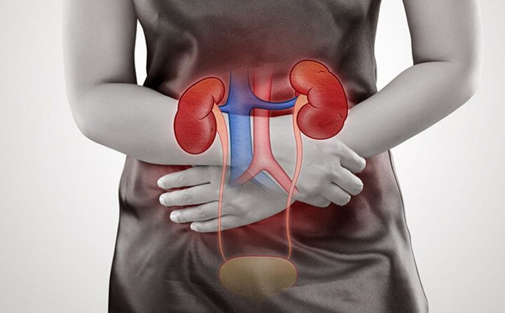 Tổn thương, thậm chí hỏng thận do thói quen ăn, uống nhiều người thường làm trong ngày hè