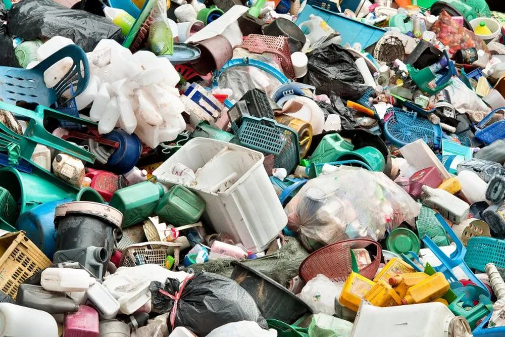Sâu siêu năng lực phân hủy rác thải nhựa - Ảnh 5.