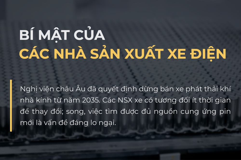 Sếp Volkswagen: Nhiều ông lớn mất ngủ khi bỏ xăng làm điện - Vingroup đã đi trước 1 bước - Ảnh 4.