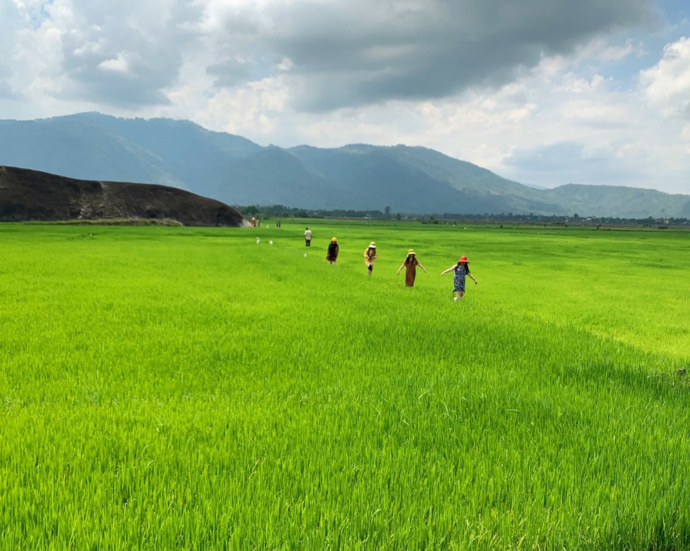 Hồ Lắk bình yên giữa đại ngàn Tây Nguyên - Ảnh 3.