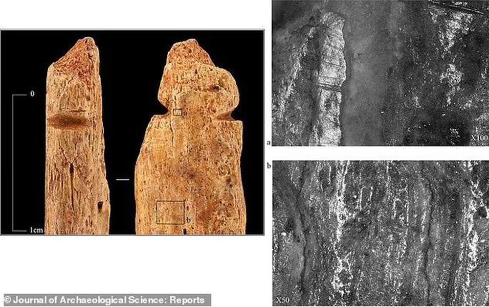 Kho b&aacute;u kinh ho&agrave;ng ở Nga: Thuộc về người qu&aacute;i vật 8.200 tuổi?  - Ảnh 1.