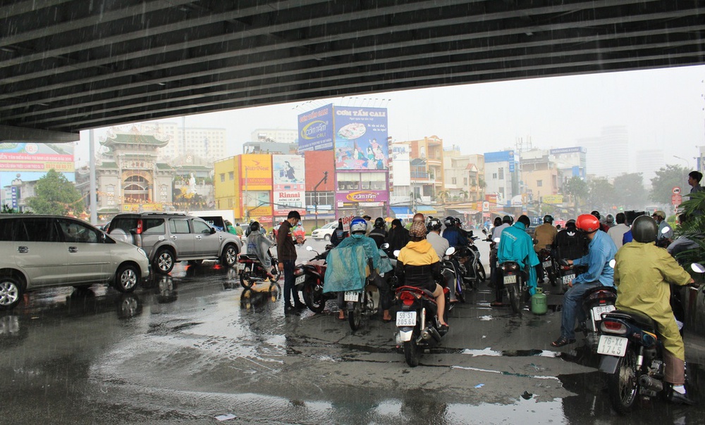 Mưa lớn đừng dại trú dưới gốc cây:  Nguy hiểm khôn lường nhưng không phải ai cũng biết - Ảnh 3.