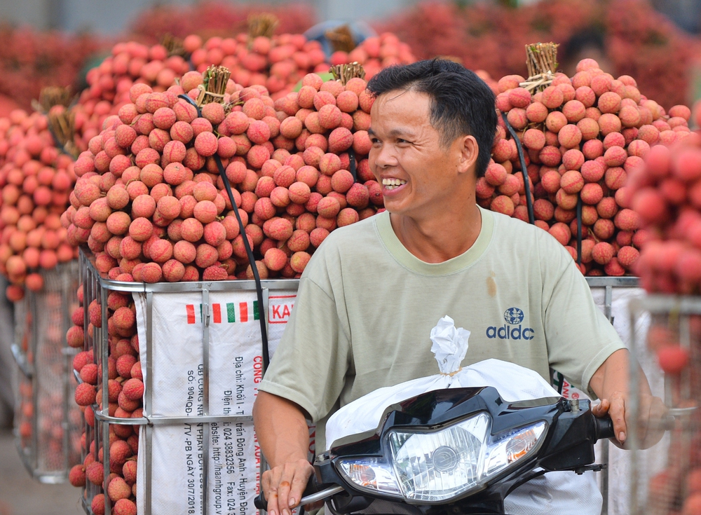 Ảnh: Người dân Bắc Giang cõng hàng tạ vải thiều đi bán từ 5h sáng khiến đường phố đỏ rực, tắc dài - Ảnh 11.