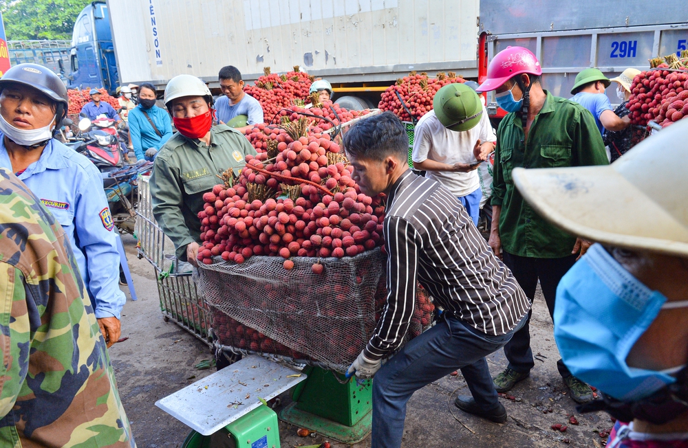 Ảnh: Người dân Bắc Giang cõng hàng tạ vải thiều đi bán từ 5h sáng khiến đường phố đỏ rực, tắc dài - Ảnh 13.