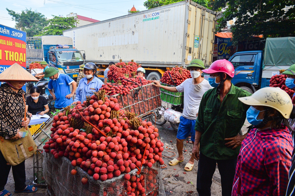 Ảnh: Người dân Bắc Giang cõng hàng tạ vải thiều đi bán từ 5h sáng khiến đường phố đỏ rực, tắc dài - Ảnh 15.