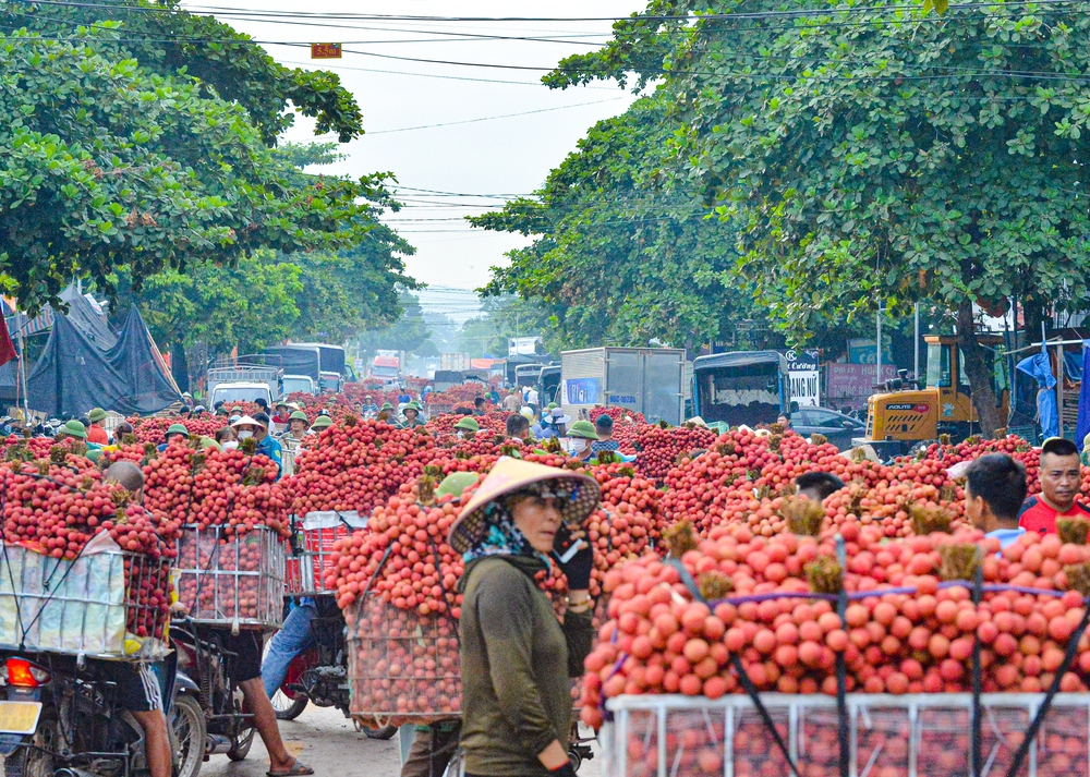 Ảnh: Người dân Bắc Giang cõng hàng tạ vải thiều đi bán từ 5h sáng khiến đường phố đỏ rực, tắc dài - Ảnh 17.