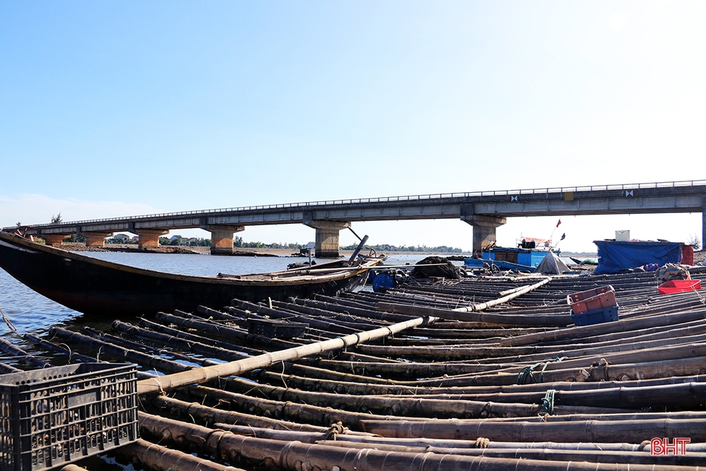 Nuôi “thần dược” trên dây, nông dân thu hàng chục triệu đồng mỗi vụ - Ảnh 9.