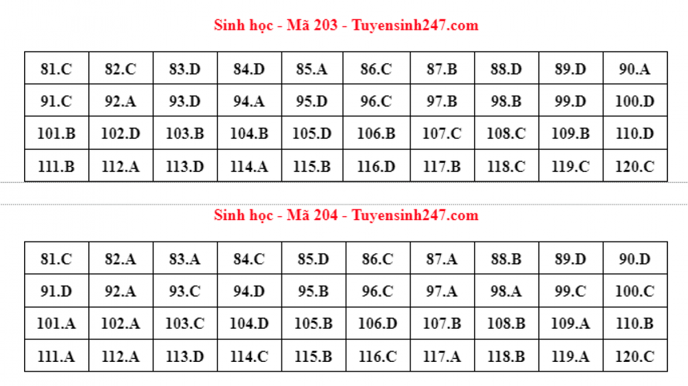 Cập nhật đáp án đề thi môn Sinh học trong kỳ thi tốt nghiệp THPT 2022 - Ảnh 1.