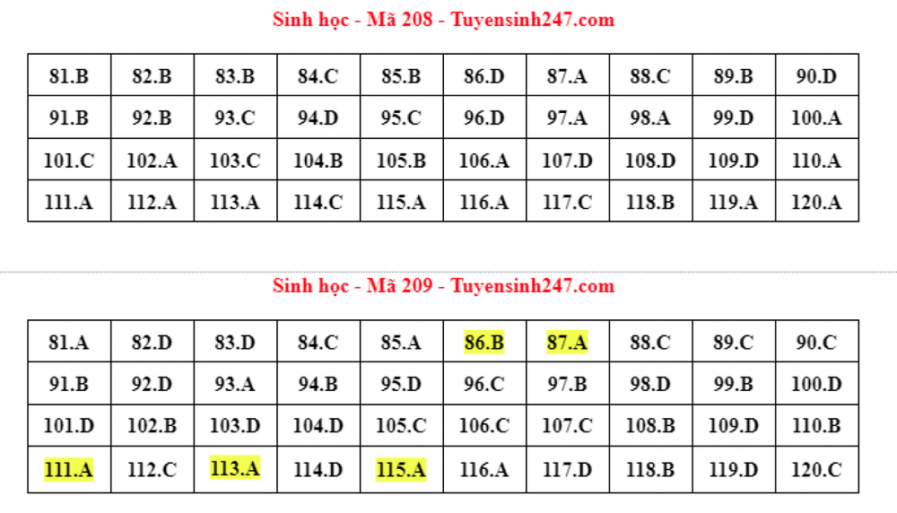 Cập nhật đáp án đề thi môn Sinh học trong kỳ thi tốt nghiệp THPT 2022 - Ảnh 3.