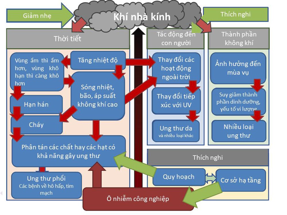 Nắng nóng gay gắt thậm chí có thể gia tăng nguy cơ ung thư - Ảnh 1.