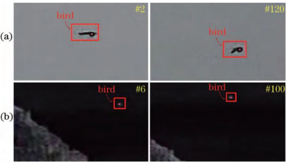 Các nhà khoa học Trung Quốc chế tạo tia laser đuổi chim để bảo vệ sân bay - Ảnh 3.