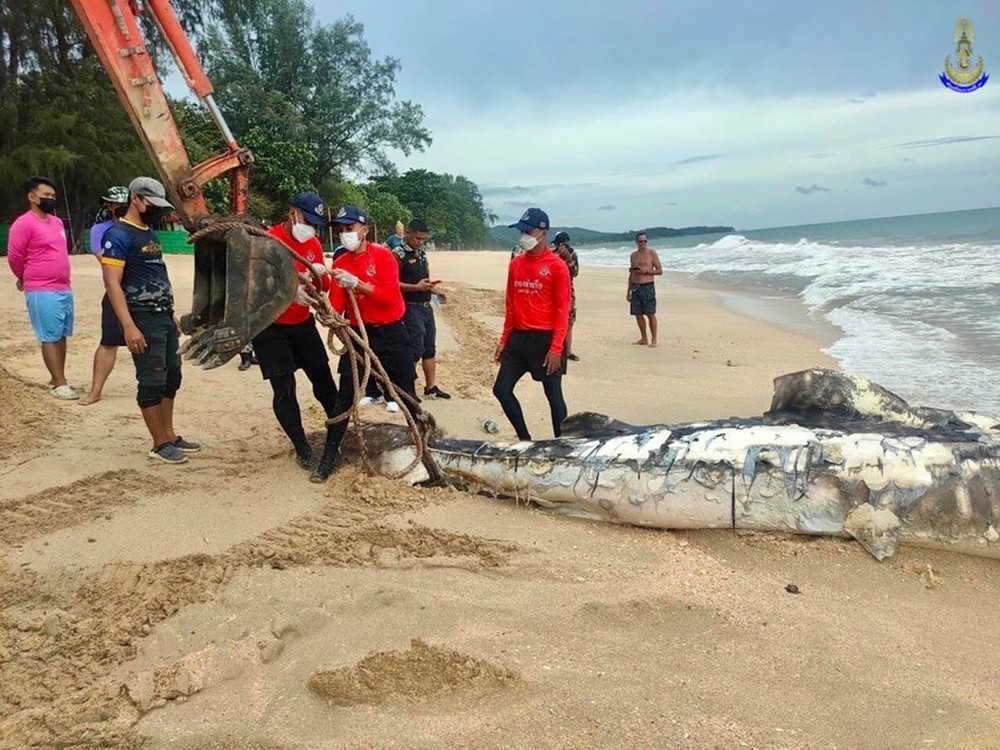 Xác cá nhám voi khổng lồ dạt vào bãi biển ở Krabi, Thái Lan - Ảnh 6.