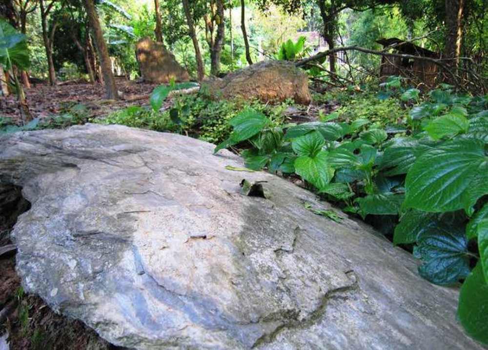 Rừng mộ đá cổ kỳ bí ở xứ Thanh - Ảnh 1.