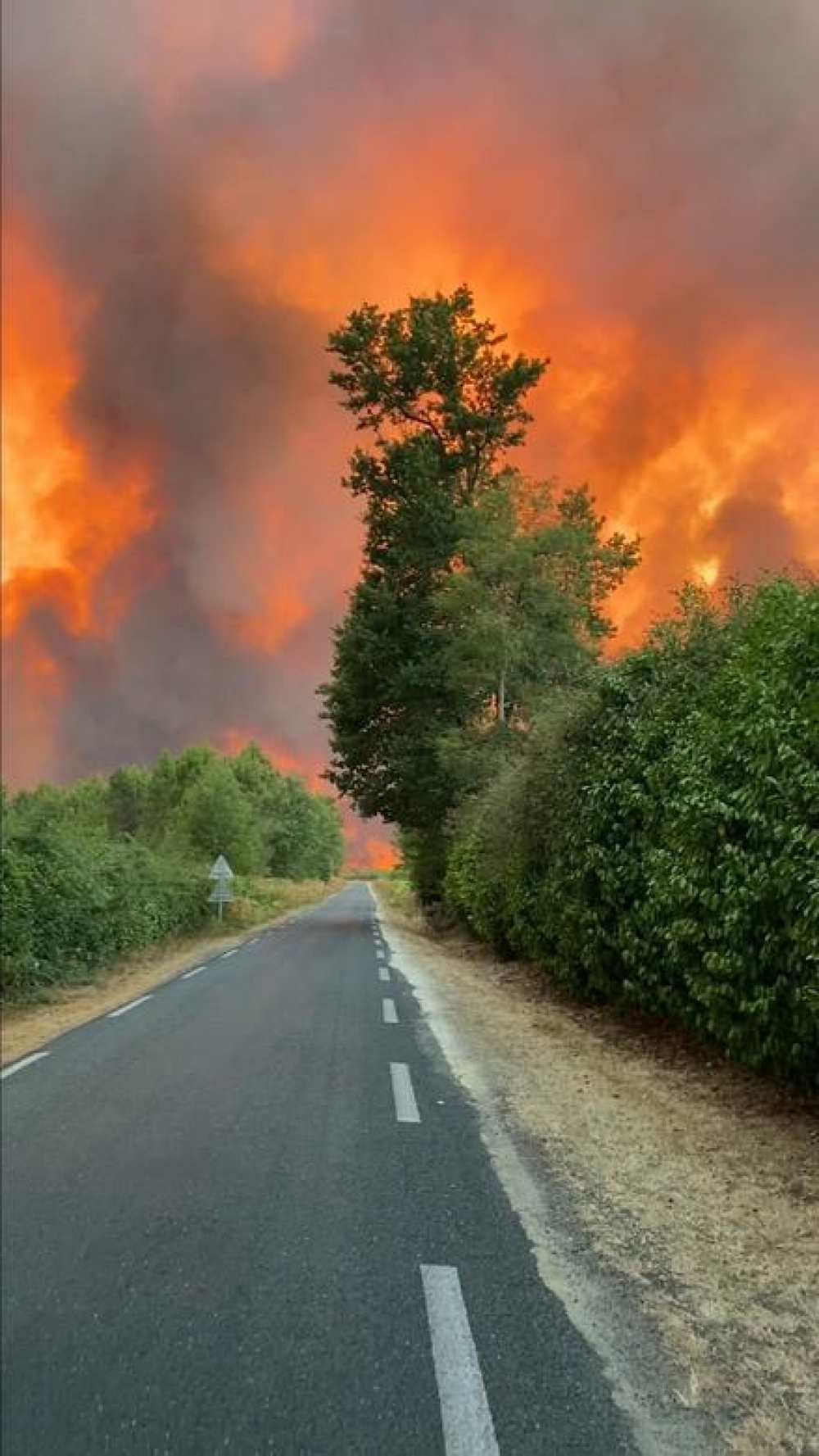 Pháp chật vật đối phó với trận cháy rừng “quái vật” thiêu rụi mọi thứ - Ảnh 15.