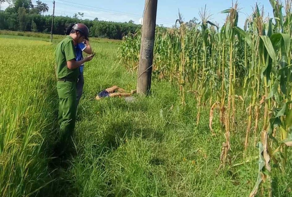 Đi cắt lá ngô, tá hỏa phát hiện thi thể nam thanh niên nằm dưới cột điện - Ảnh 1.