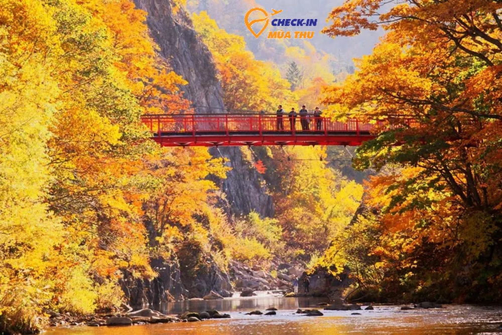 Khám phá nơi đón mùa thu sớm nhất Nhật Bản: Du khách mãn nhãn với cảnh lá vàng đẹp như tranh - Ảnh 2.
