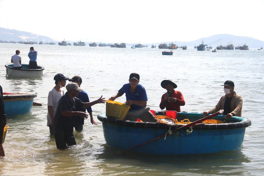 Ngư dân Bình Thuận trúng đậm cá cơm cao điểm vụ Nam - Ảnh 1.