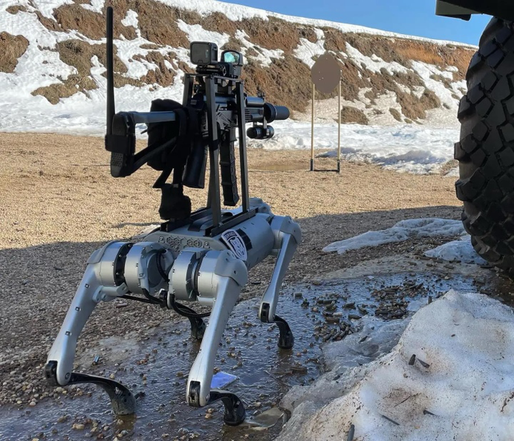 Chó robot chiến đấu mang tên lửa của Nga có xuất xứ từ Trung Quốc - Ảnh 3.