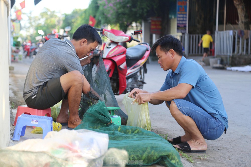 Phiên chợ bán ‘tôm bay’, giá nửa triệu mỗi kg vẫn cháy hàng - Ảnh 4.