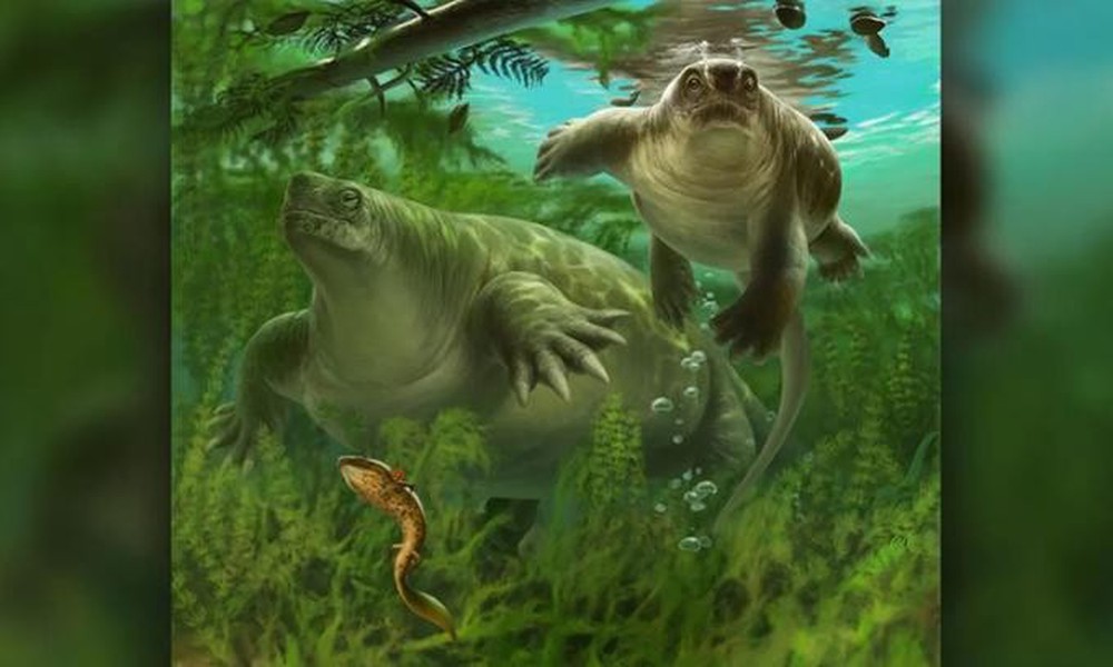 Phát hiện hài cốt động vật có vú lai hà mã, thằn lằn, rùa và khủng long - Ảnh 1.