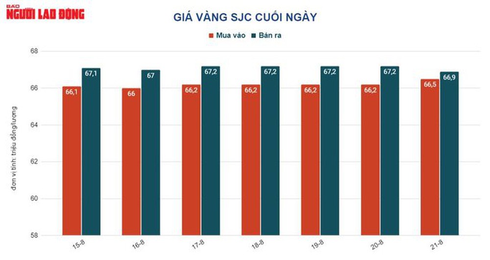 Giá vàng hôm nay 22-8: Vàng thế giới lao dốc, còn chưa tới 50 triệu đồng/lượng - Ảnh 2.