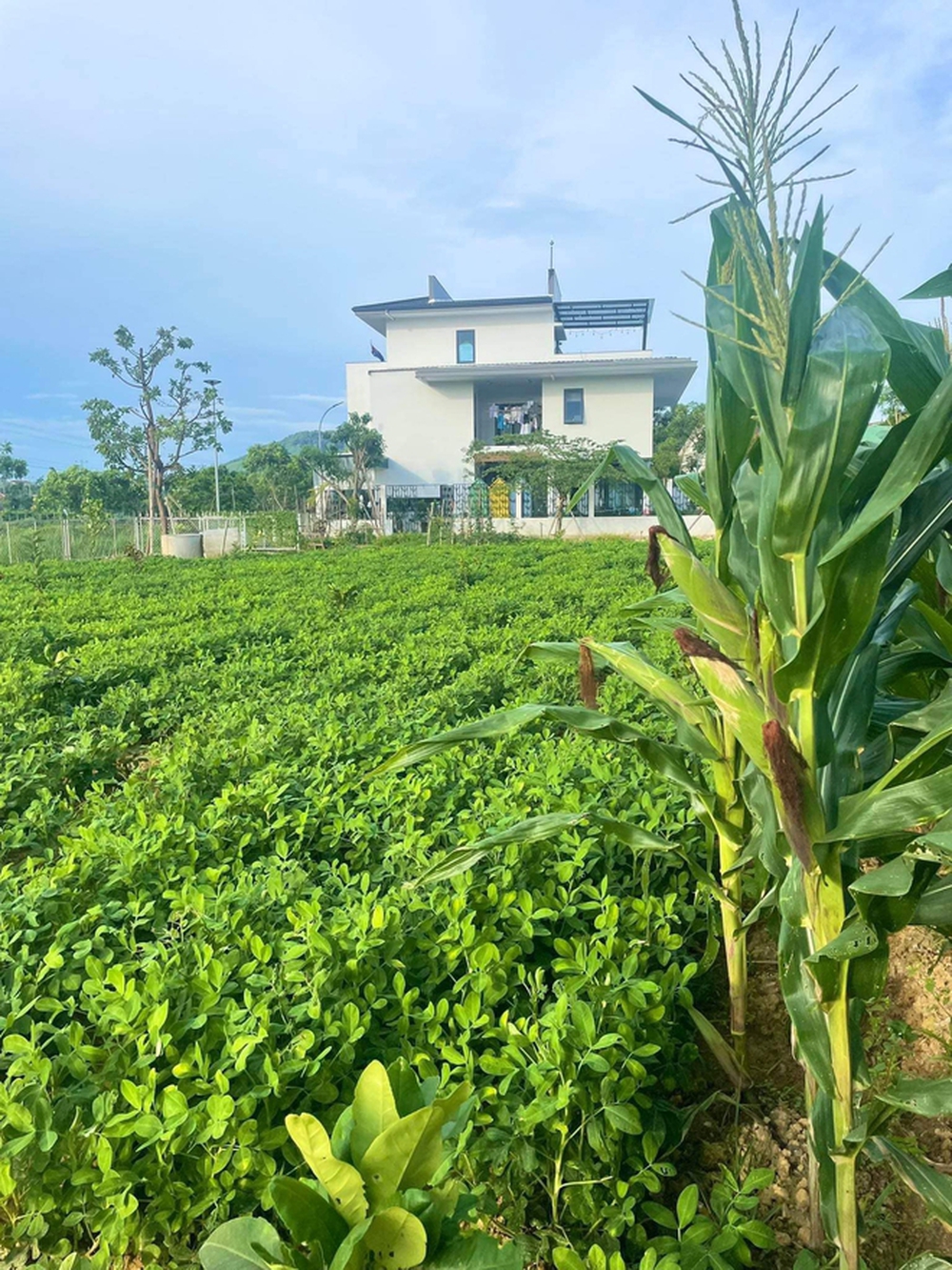 Hành trình 15 năm “cất 1 nửa lương”, tích lũy về quê xây nhà để sống cùng mẹ