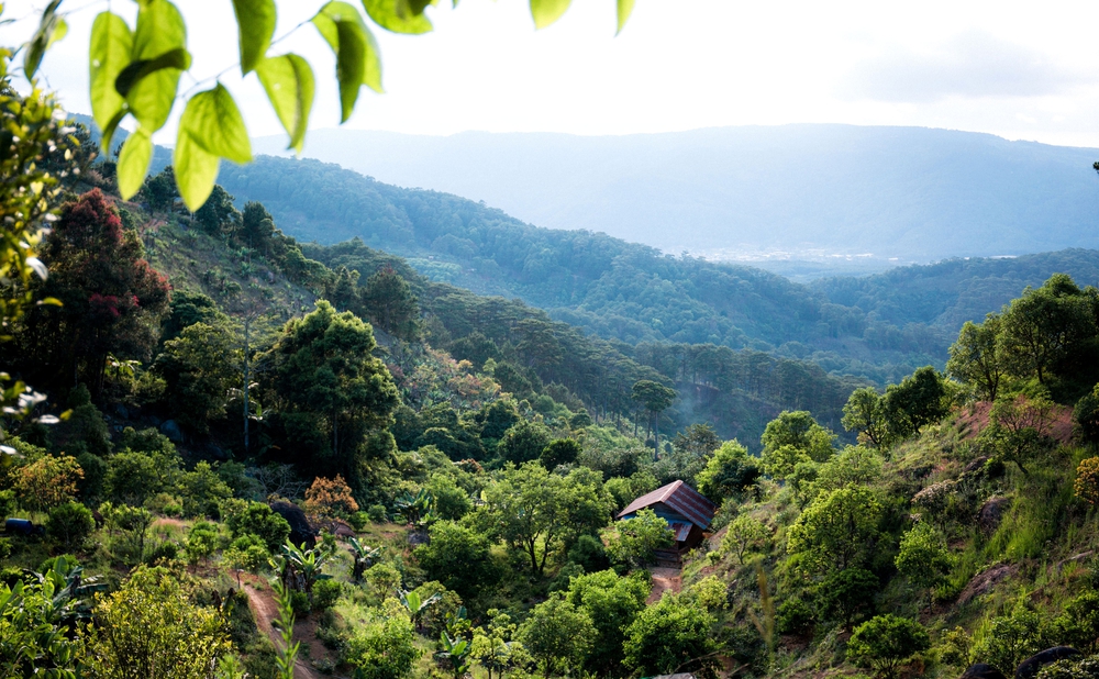 Chàng trai bỏ phố về rừng, làm tour du lịch chữa lành, hòa mình với thiên nhiên - Ảnh 3.