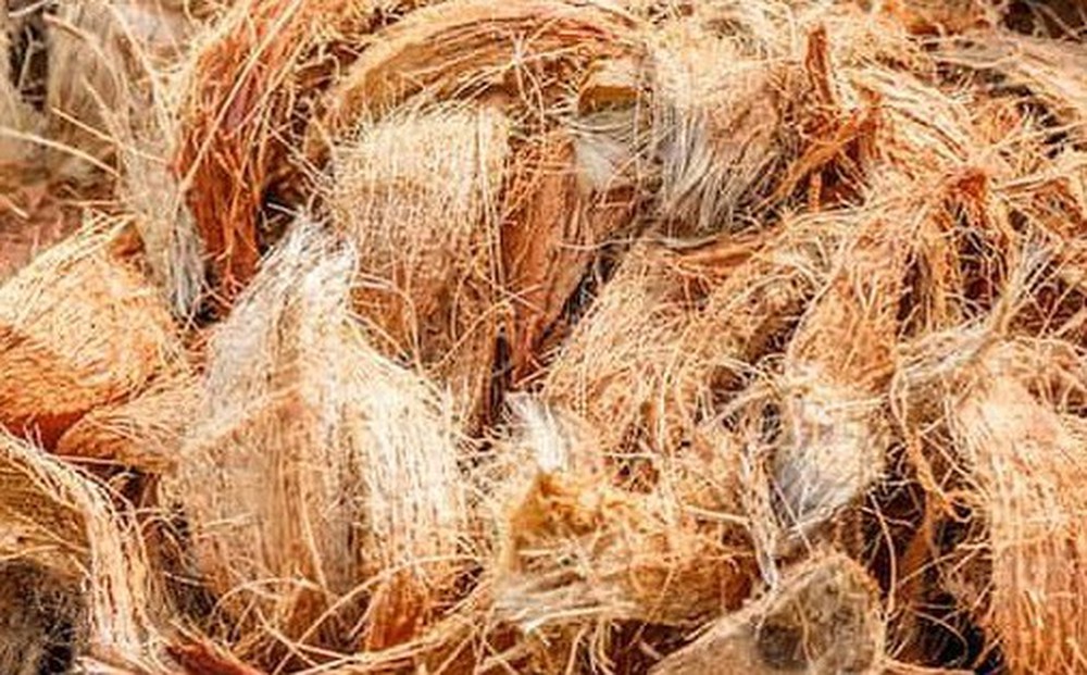 Xuất khẩu xơ dừa của Việt Nam tăng 272%