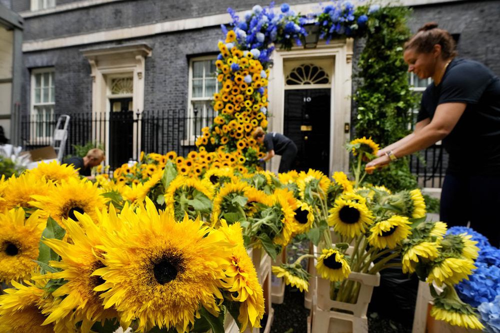 Phủ thủ tướng Anh dựng cổng hoa hướng dương để ủng hộ Ukraine - Ảnh 3.