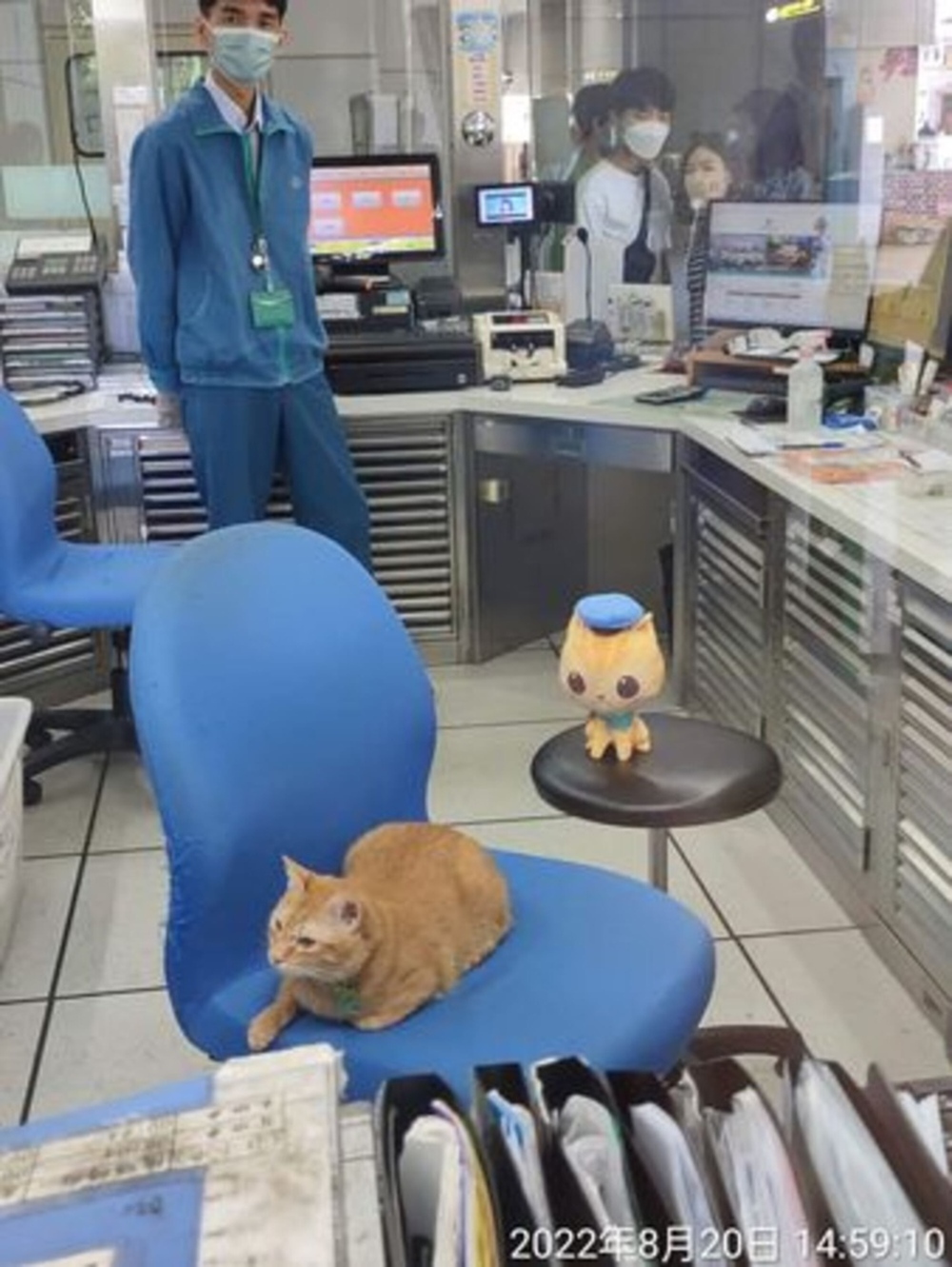 Gặp gỡ chú mèo giữ chức trưởng ga tàu điện ngầm với thần thái cực oách - Ảnh 4.