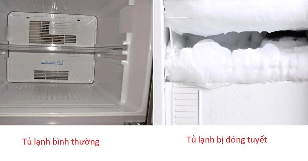 Thử cách để khẩu trang như thế này vào tủ lạnh sẽ giúp bạn tiết kiệm được khoản tiền điện không hề nhỏ - Ảnh 1.