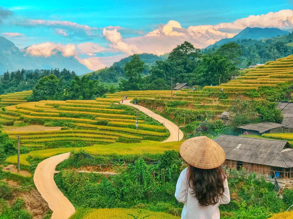 Đi săn lúa ở Sa Pa nhưng không phải ai cũng tìm được những thửa ruộng vàng óng, nguyên sơ - Ảnh 15.