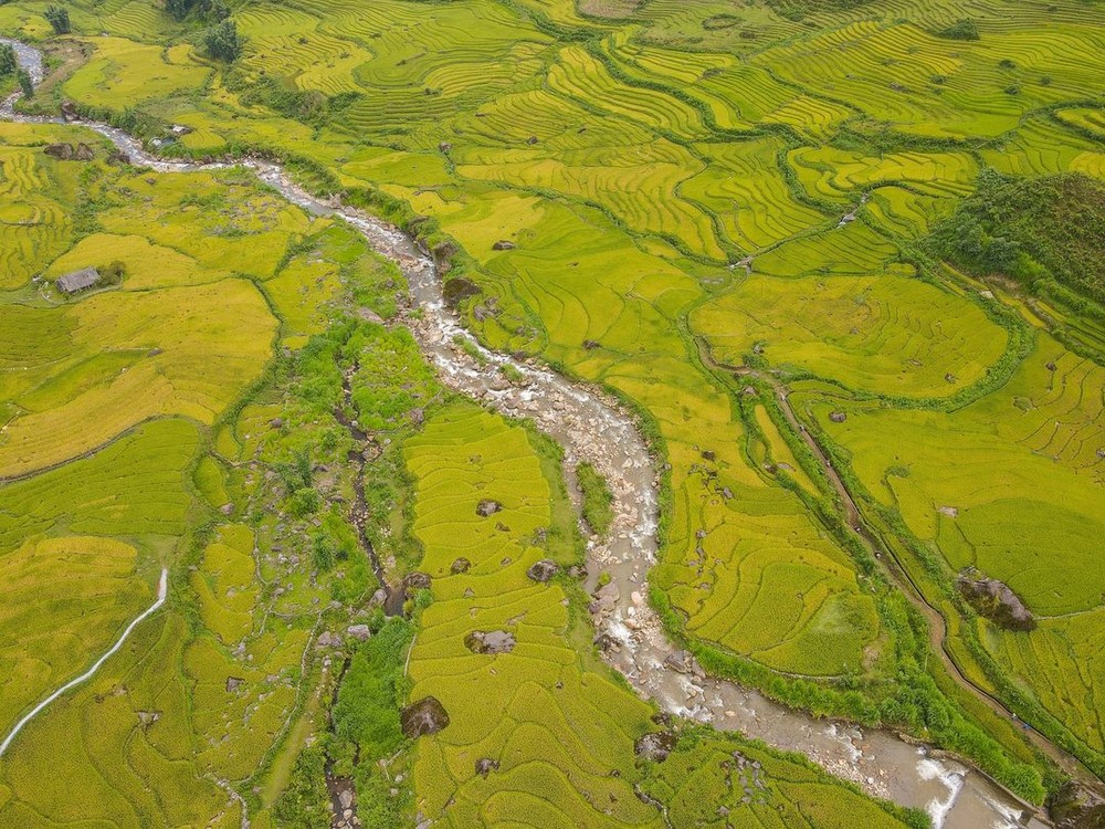 Đi săn lúa ở Sa Pa nhưng không phải ai cũng tìm được những thửa ruộng vàng óng, nguyên sơ - Ảnh 19.