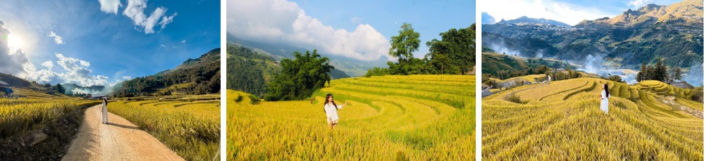 Đi săn lúa ở Sa Pa nhưng không phải ai cũng tìm được những thửa ruộng vàng óng, nguyên sơ - Ảnh 8.