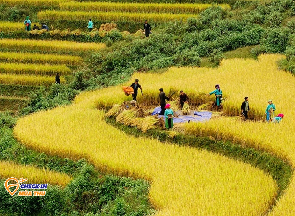 Tây Bắc mùa này có gì mà nhiều người đi đến thế: Tất cả đều mang vẻ đẹp chung của một thứ - Ảnh 9.