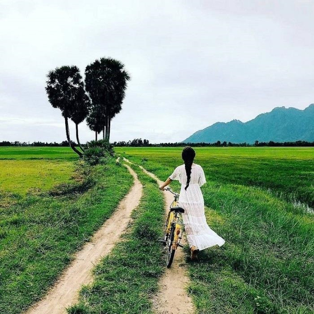 8 cây cô đơn nổi tiếng, được check-in nhiều nhất Việt Nam  - Ảnh 5.