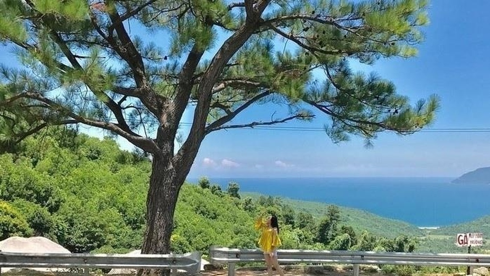 8 cây cô đơn nổi tiếng, được check-in nhiều nhất Việt Nam  - Ảnh 8.
