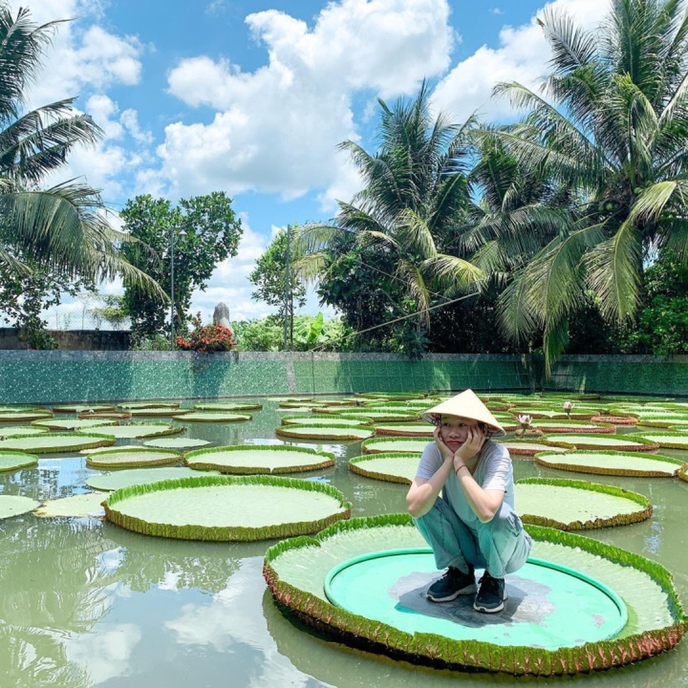 Ngôi chùa có hồ sen ‘mọc’ lên từ hố bom, lá sen khổng lồ có thể đỡ được cả người - Ảnh 7.