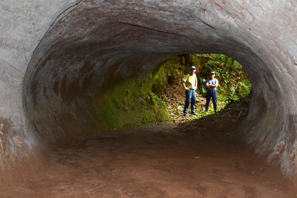 Tìm thấy 10.000 đường hầm 13.000 tuổi: Không phải do người, tác giả là loài khổng lồ này - Ảnh 1.