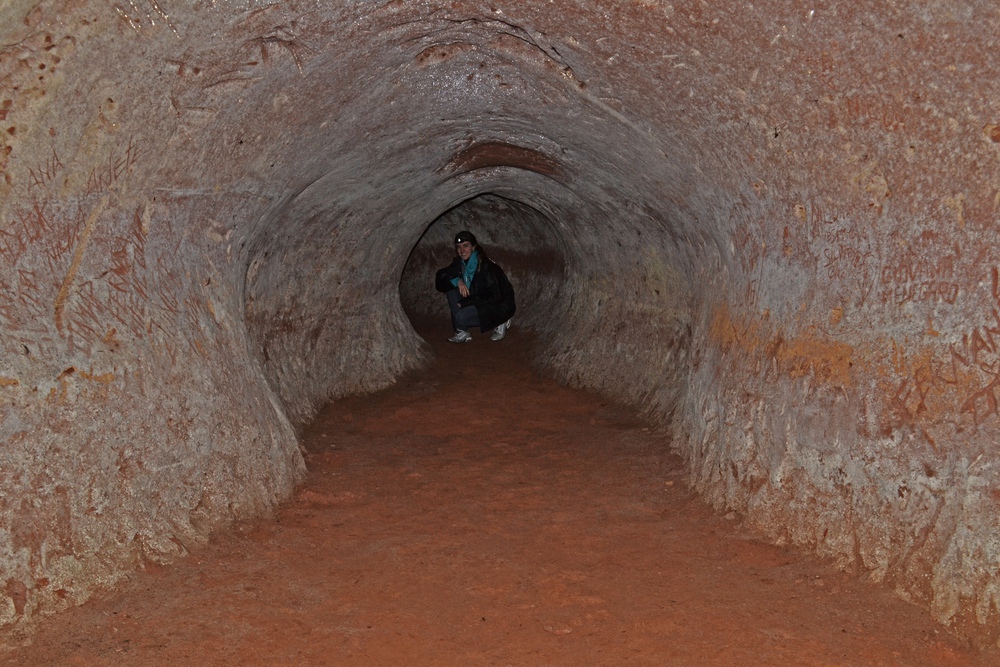 Tìm thấy 10.000 đường hầm 13.000 tuổi: Không phải do người, tác giả là loài khổng lồ này - Ảnh 4.
