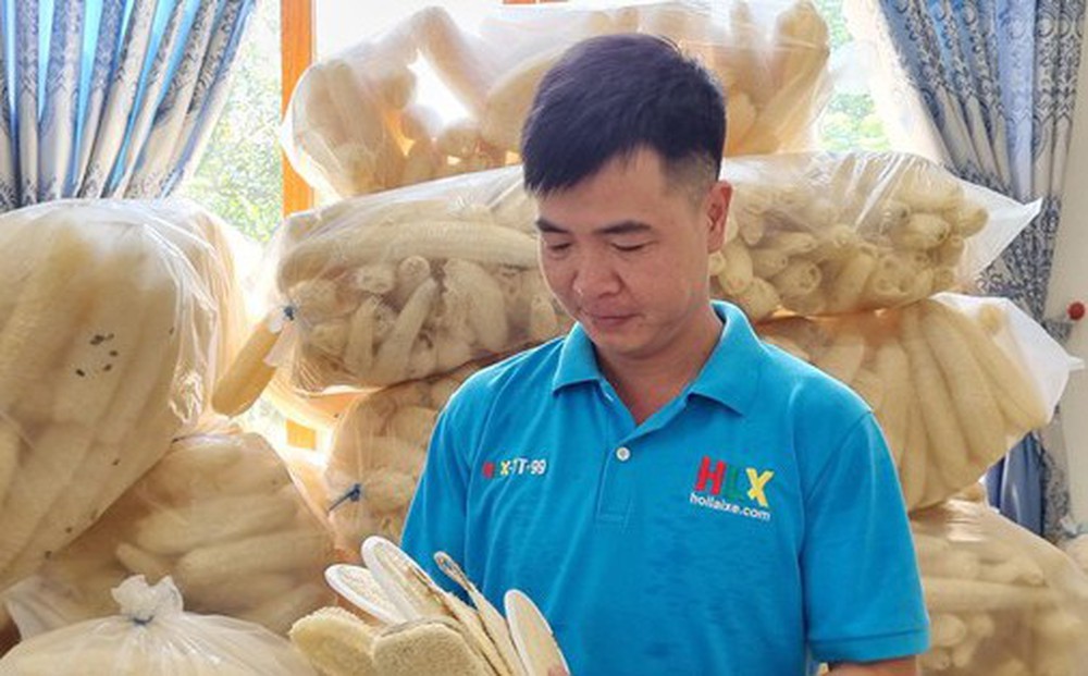 Nghỉ việc ngân hàng lương cao, chàng trai Bắc Ninh biến xơ mướp thành sản phẩm xuất khẩu nghìn đô