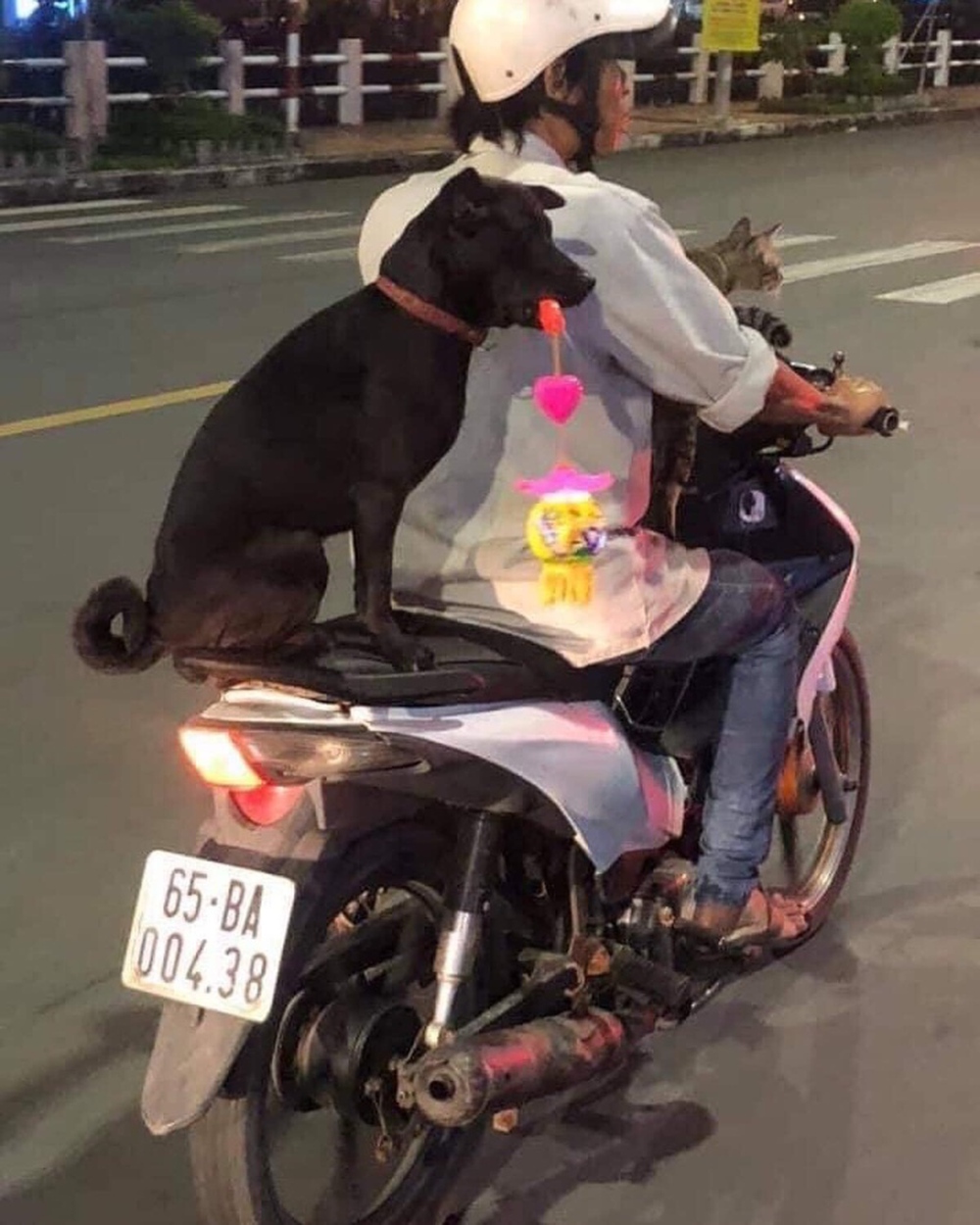 Trung thu là một trong những ngày lễ truyền thống đặc biệt của dân tộc Việt Nam. Hãy cùng nhau chiêm ngưỡng những hình ảnh đẹp và cảm nhận niềm vui, hạnh phúc trong những đêm trung thu đầy ấm áp và ý nghĩa.