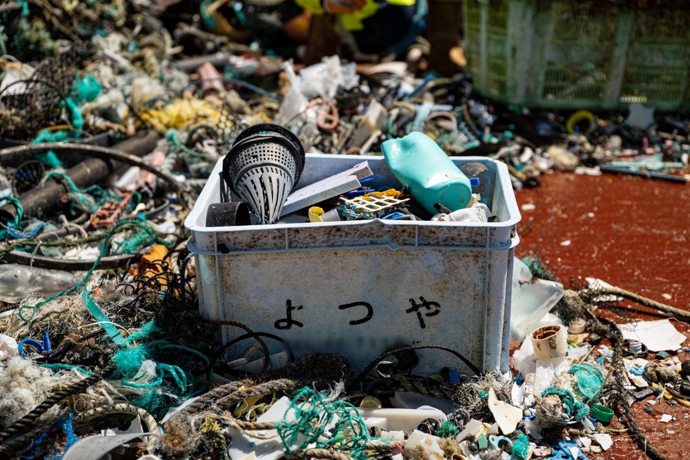 Lộ diện thủ phạm của đảo rác khổng lồ trên Thái Bình Dương: Là hoạt động nuôi sống hàng triệu người - Ảnh 3.