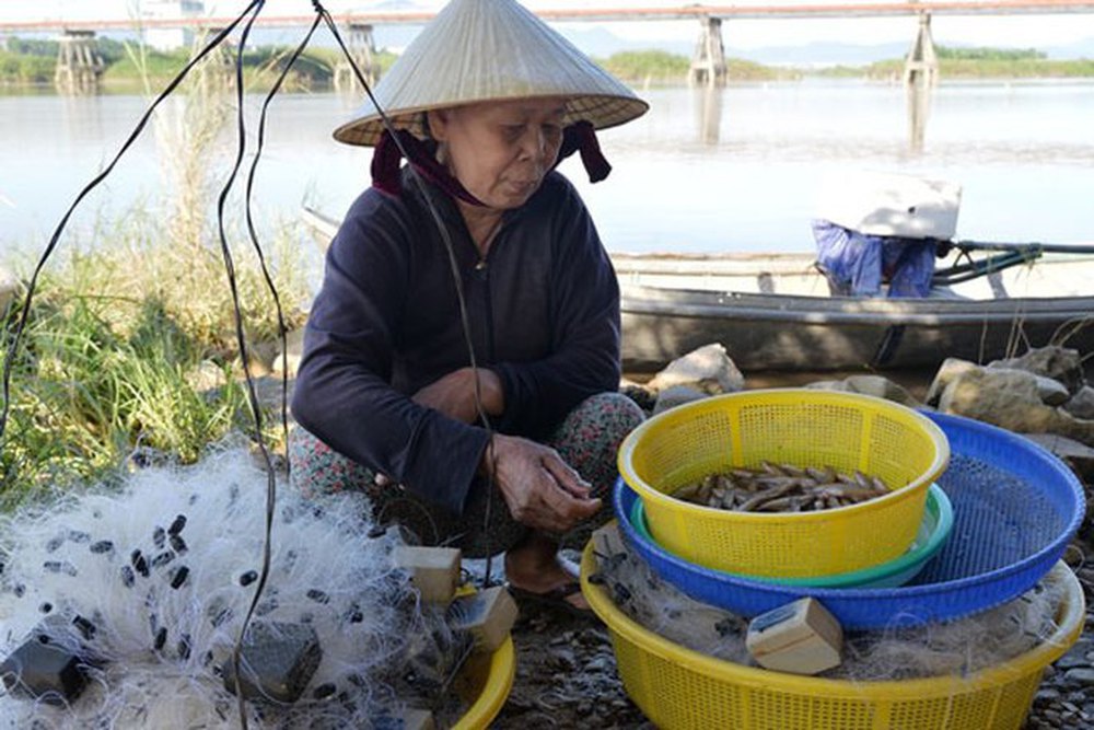 Săn cá quý trên sông Trà - Ảnh 3.