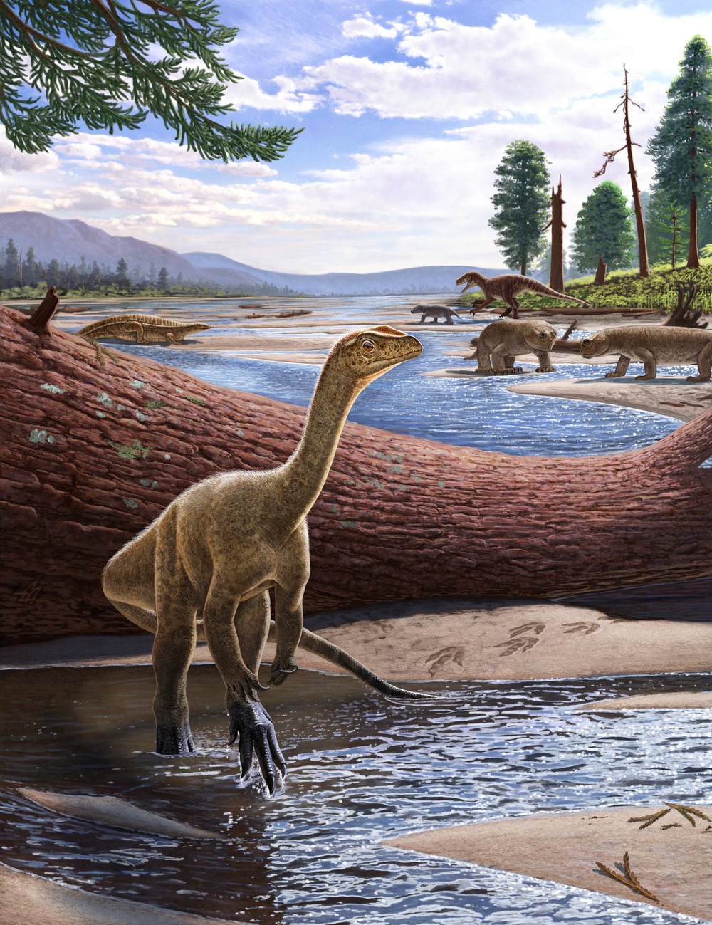 Hóa thạch khủng long hoàn chỉnh và lâu đời nhất của châu Phi được tìm thấy ở Zimbabwe - Ảnh 4.
