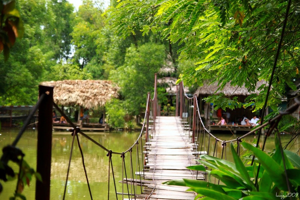 Những địa điểm câu cá giải trí ở Hà Nội giúp xua tan mọi buồn phiền - Ảnh 6.