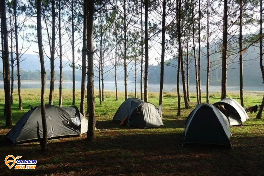 6 địa điểm cắm trại đẹp nhất ở Đà Lạt: Nơi số 3 còn được mệnh danh là Thánh địa săn mây - Ảnh 4.